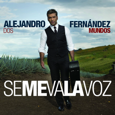 Alejandro Fernandez